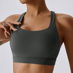 gymcherries sports bras category